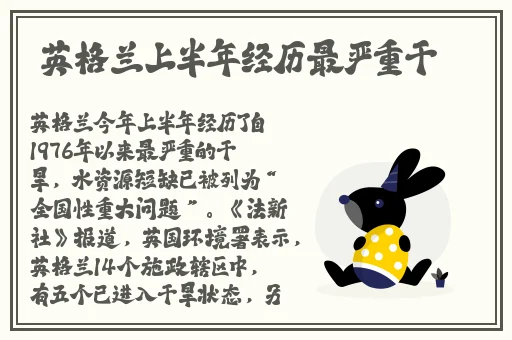 香港奇强㢨之轮㚥11