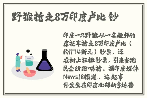 片多多免费观看